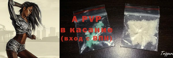 СК Аркадак
