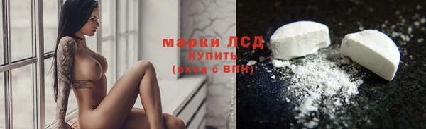 СК Аркадак