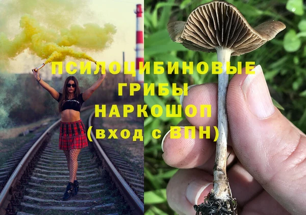 apvp Армянск